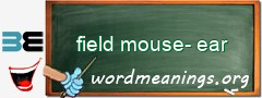 WordMeaning blackboard for field mouse-ear